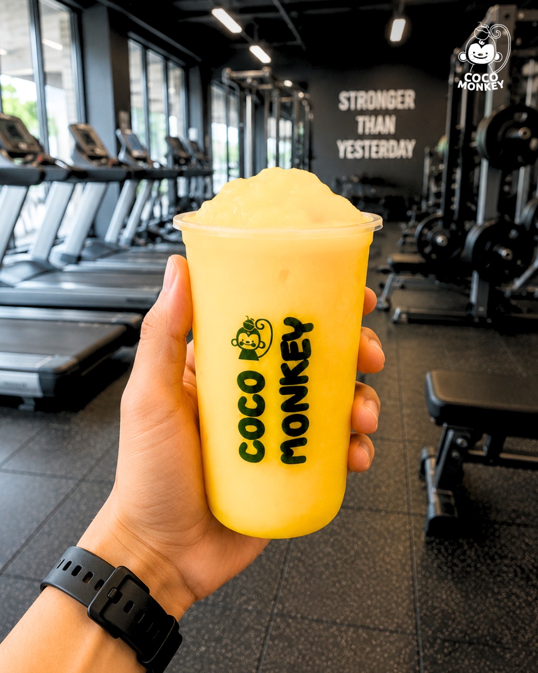 Coco Monkey — franchise photo